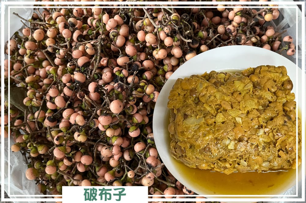 台南農地自售 - 4145M2 幸福釋迦園 免費技術教學 / 50年老欉臺灣土種大目釋迦果園,適合青農創業、假日農場、長照友善園區、銀髮社區體驗農場或有機農場