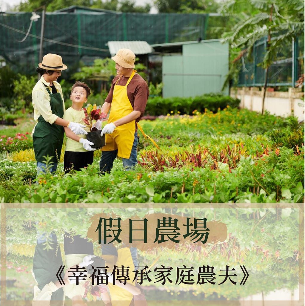 台南歸仁農地自售 - 4145M2 幸福釋迦園 免費技術教學 / 50年老欉臺灣土種大目釋迦果園,適合青農創業、假日農場、長照友善園區、銀髮社區體驗農場或有機農場