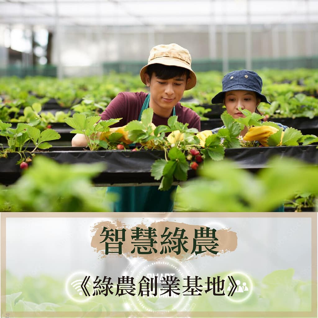 台南農地自售 - 4145M2 幸福釋迦園 免費技術教學 / 50年老欉臺灣土種大目釋迦果園,適合青農創業、假日農場、長照友善園區、銀髮社區體驗農場或有機農場