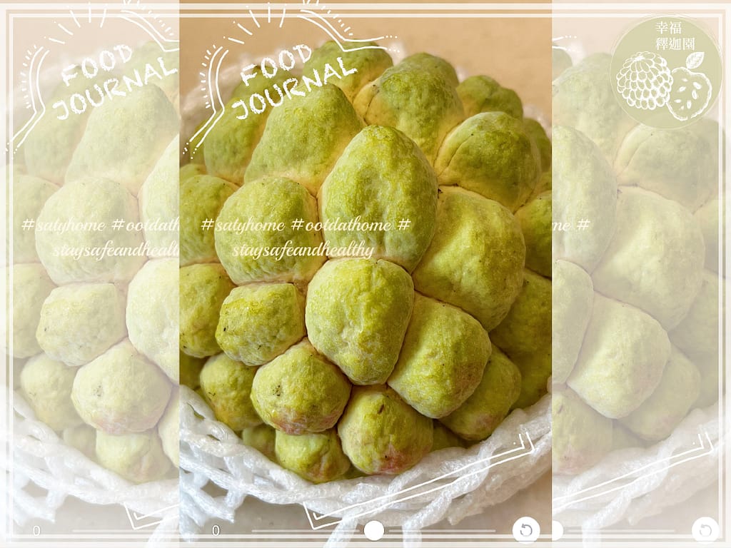 歸仁農地自售 - 4145M2 幸福釋迦園 免費技術教學 / 50年老欉臺灣土種大目釋迦果園,適合青農創業、假日農場、長照友善園區、銀髮社區體驗農場或有機農場