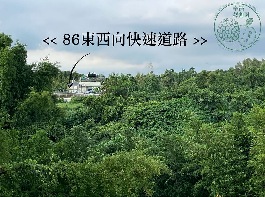 台南歸仁農地自售 - 4145M2 幸福釋迦園 免費技術教學 / 50年老欉臺灣土種大目釋迦果園,適合青農創業、假日農場、長照友善園區、銀髮社區體驗農場或有機農場