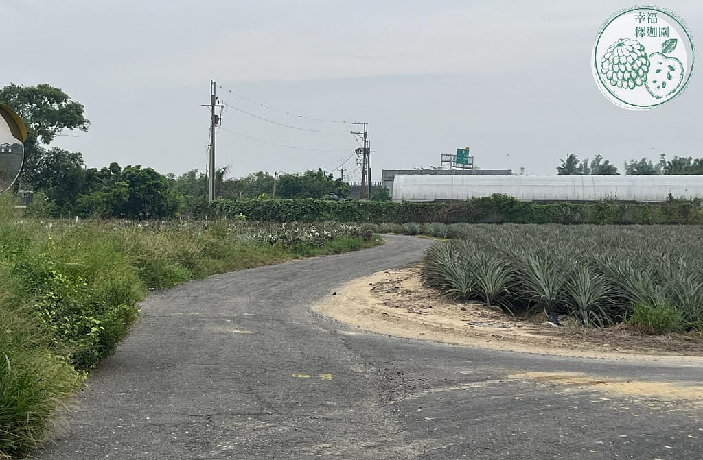 台南歸仁農地自售 - 4145M2 幸福釋迦園 免費技術教學 / 50年老欉臺灣土種大目釋迦果園，適合青農創業、假日農場、長照友善園區、銀髮社區體驗農場或有機農場