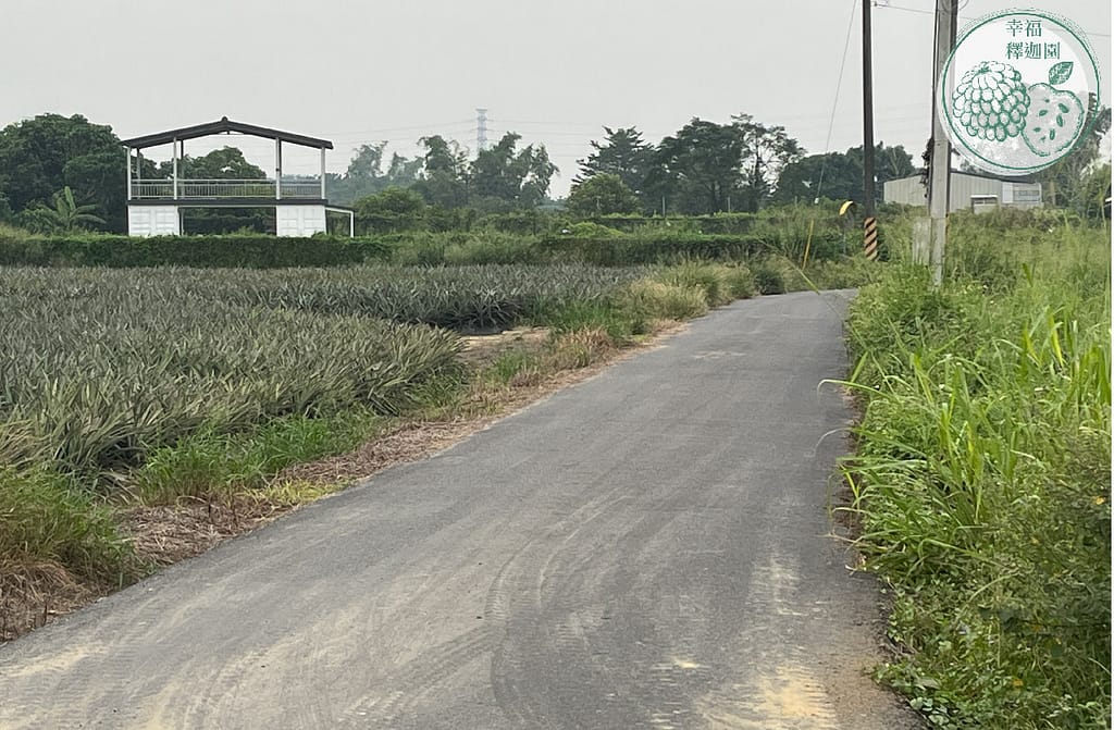 歸仁農地自售 - 4145M2 幸福釋迦園 免費技術教學 / 50年老欉臺灣土種大目釋迦果園,適合青農創業、假日農場、長照友善園區、銀髮社區體驗農場或有機農場