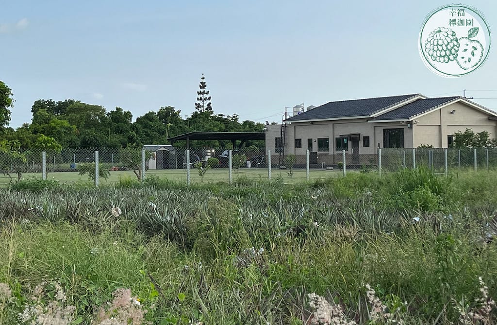 台南農地自售 - 4145M2 幸福釋迦園 免費技術教學 / 50年老欉臺灣土種大目釋迦果園,適合青農創業、假日農場、長照友善園區、銀髮社區體驗農場或有機農場
