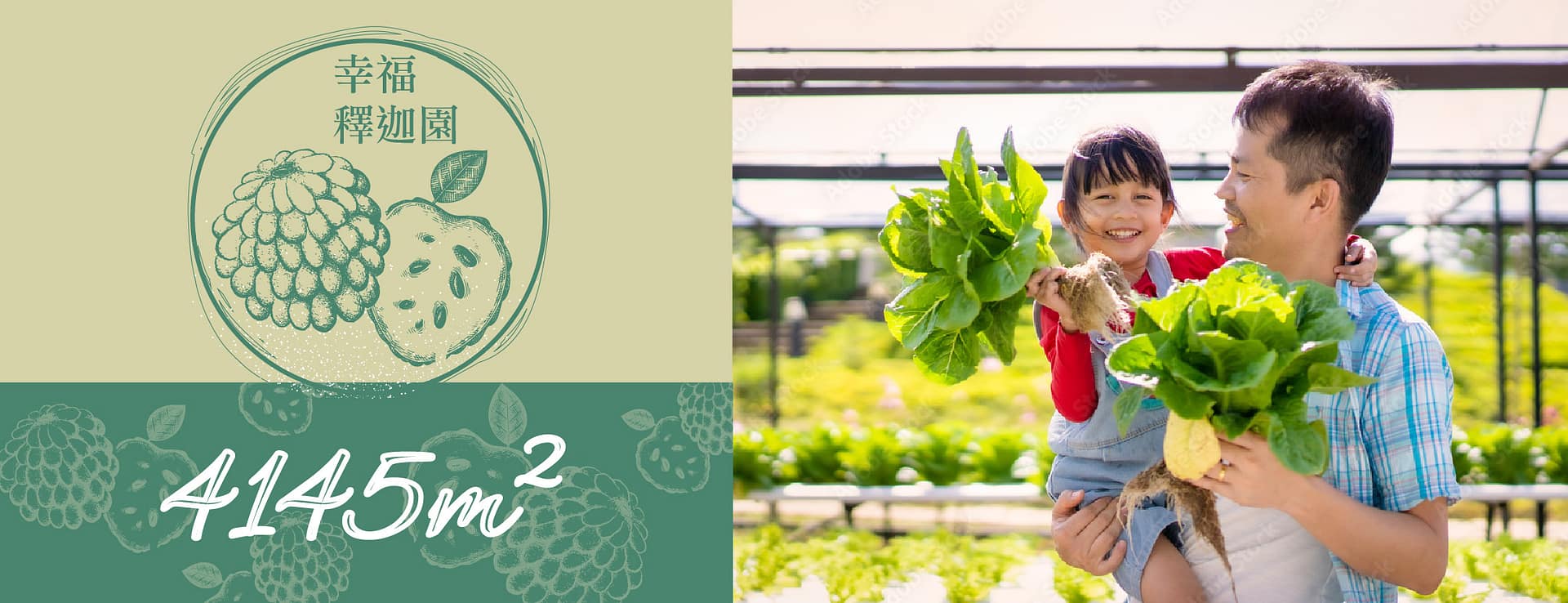 沙崙農地 自售 / 4145M2 幸福釋迦園 - 50年老欉臺灣土種大目釋迦果園，位於3號及86快速關廟出口，緊黎沙崙高鐵特區4.3公里，有水、電、路。發展性高。適合青農創業、假日農場、長照銀髮友善園區或有機農場